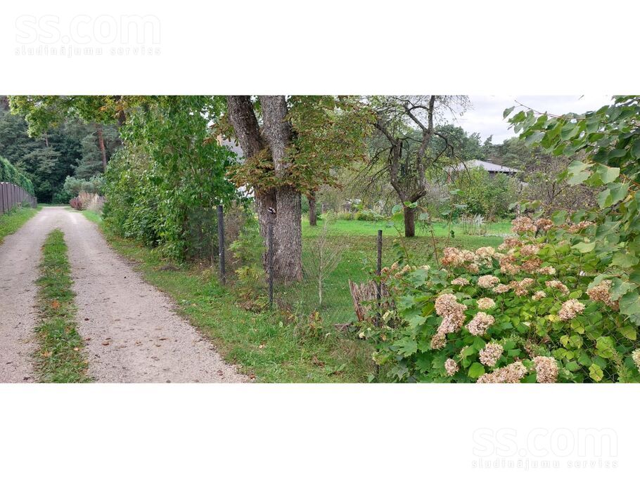 Zaļā iela 104, Dobele un raj., Dobele — zeme