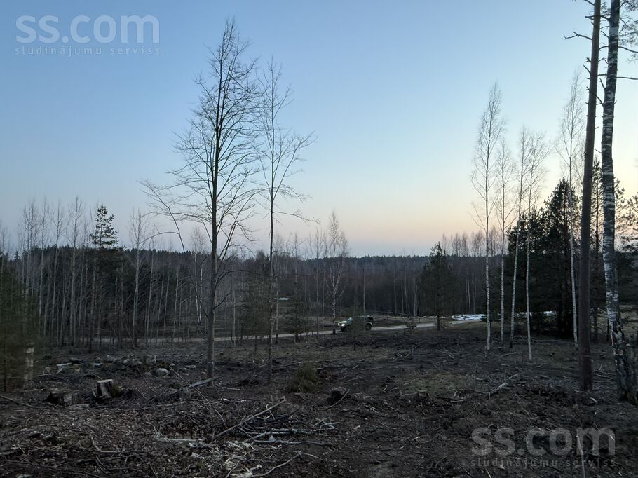 Ievziedlejas, Kangari, Rīgas rajons, Ropažu nov. — zeme