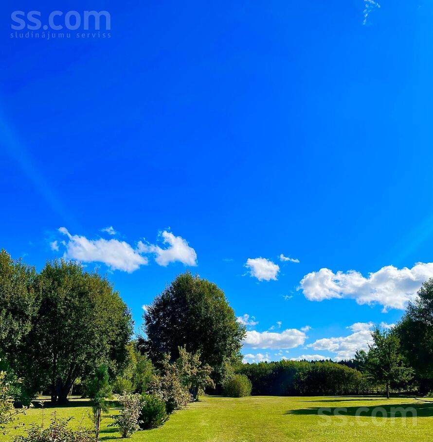 Efejas, Liepupe, Limbaži un raj., Liepupes pag. — maja