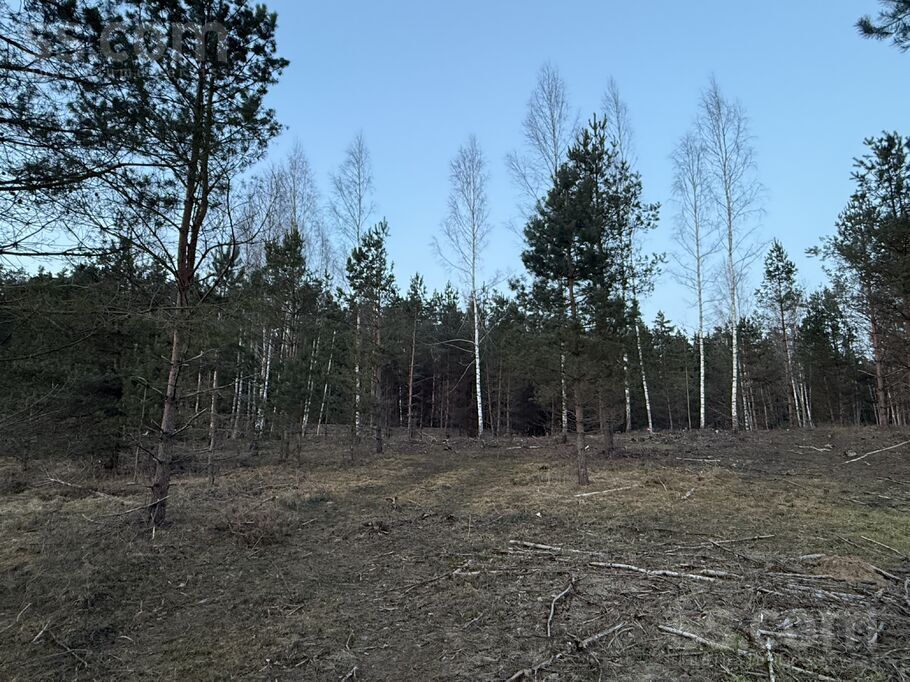 Ievziedlejas, Kangari, Rīgas rajons, Ropažu nov. — zeme