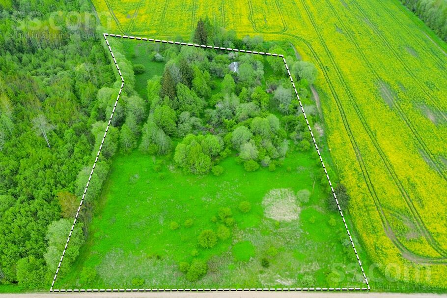 Vēveri, Ķeipene, Ogre un raj., Ķeipenes pag. — zeme