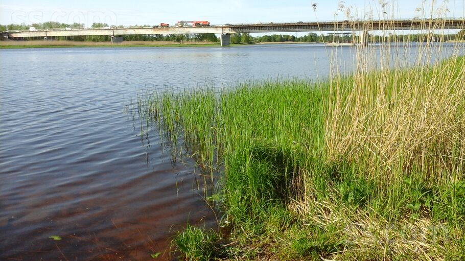 Saules, Gātciems, Rīgas rajons, Salas pag. — zeme