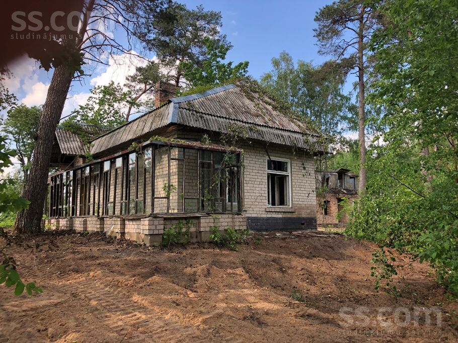 Dobele un raj., Dobele — vienseta