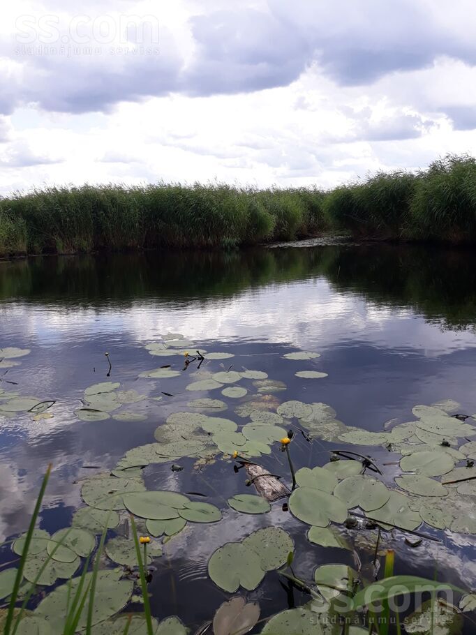 Krišjāņi, Krievragciems, Talsi un raj., Ķūļciema pag. — zeme