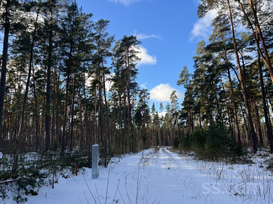 Alīses ceļš 11, Spuņciems, Rīgas rajons, Salas pag. — zeme