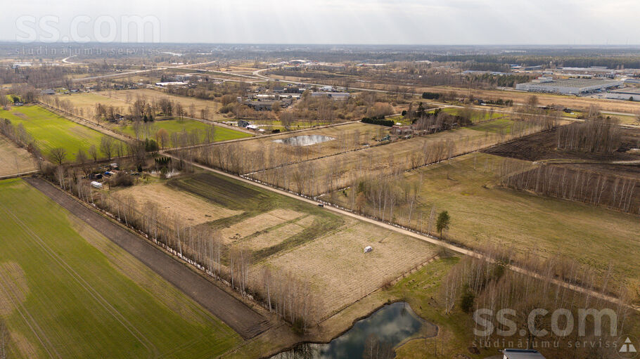 Ziedlapas, Brankas, Jelgava un raj., Cenu pag. — zeme