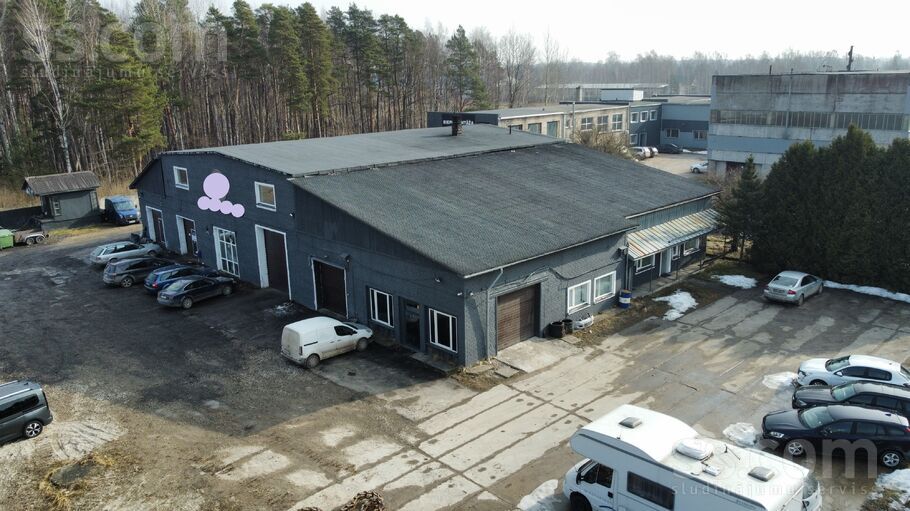 Meža ceļš 2, Raubēni, Jelgava un raj., Cenu pag. — telpa