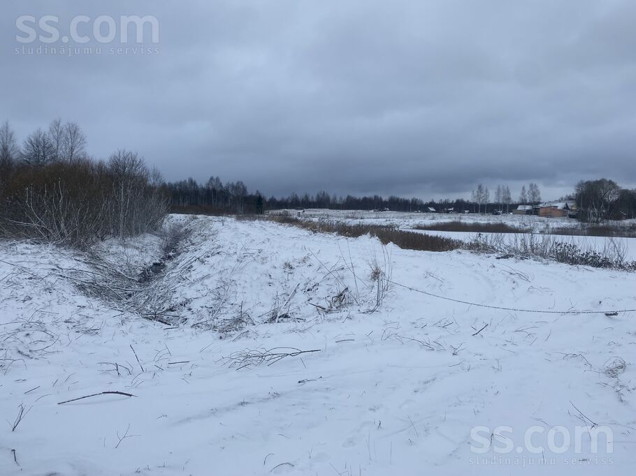 Biķernieki 1, Biķernieki, Daugavpils un raj., Biķernieku pag. — zeme