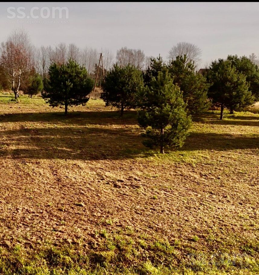 Zaigas, ķirbīši, Dzimtmisa, Bauska un raj., Iecavas nov. — zeme