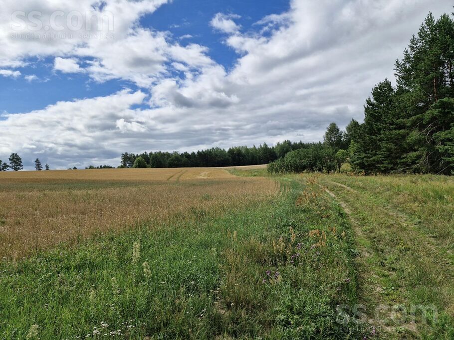 Īdeņa, Rēzekne un raj., Nagļu pag. — vienseta