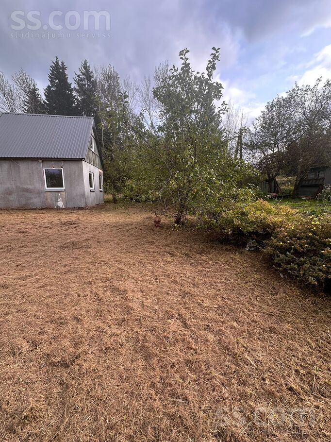 Dzintārs dārzs, Rēzekne un raj., Rēzekne — maja