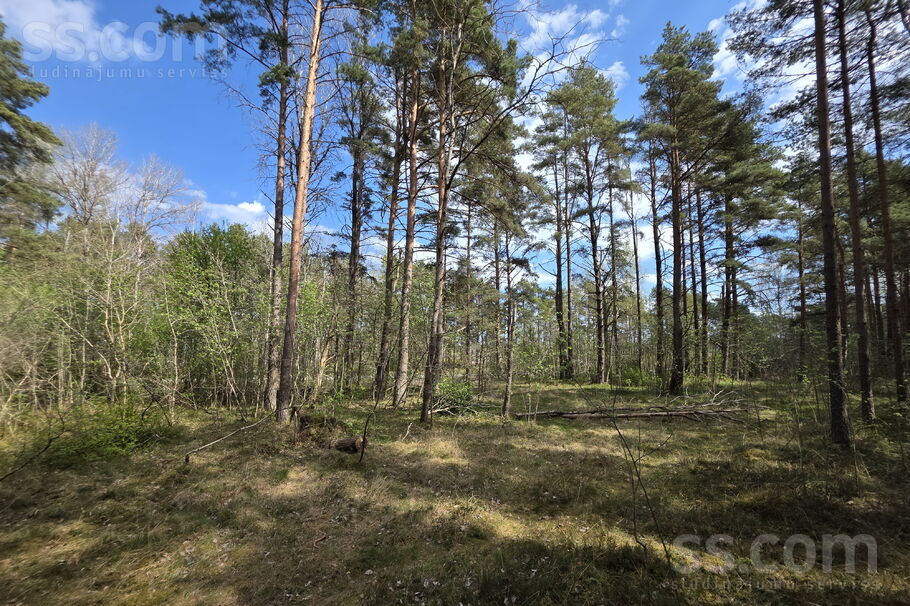 Jaunliepēni, Lapmežciems, Tukums un raj. — zeme