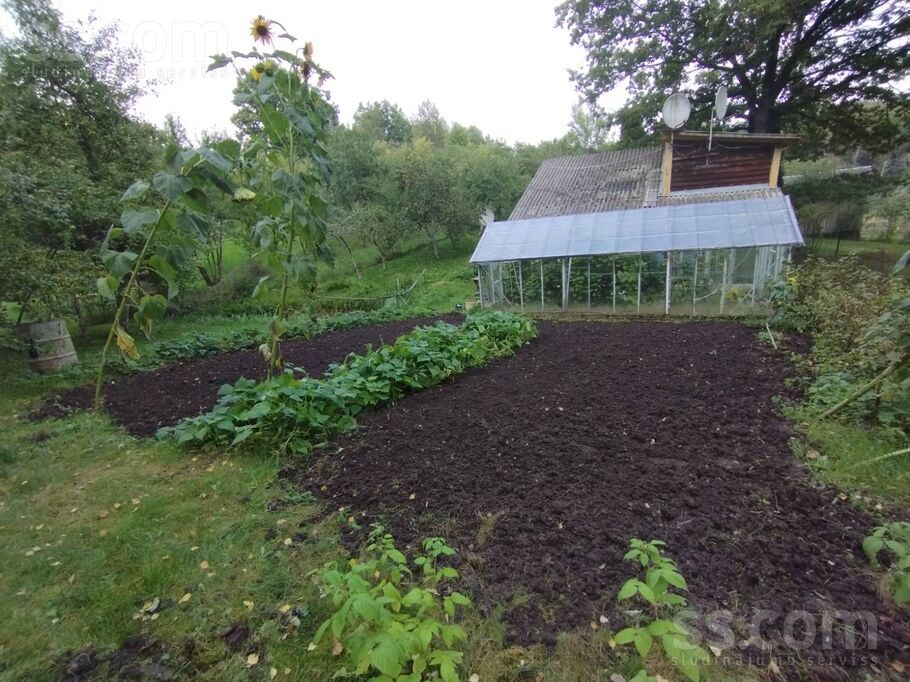 Ozolaine 102, Ozolaine, Daugavpils un raj., Medumu pag. — maja