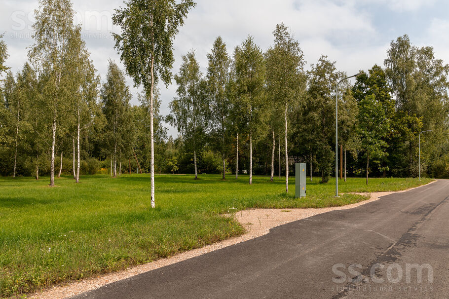 3.līnija 29, Jelgava un raj., Jelgava — zeme