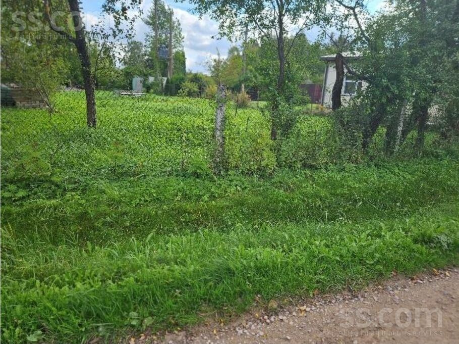 Meža iela 1b, Jelgava un raj., Jelgava — zeme