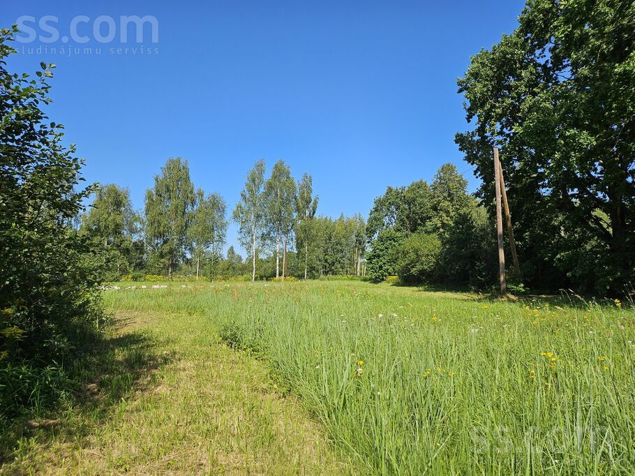 Jaunzelmeņi, Brankas, Jelgava un raj., Cenu pag. — zeme