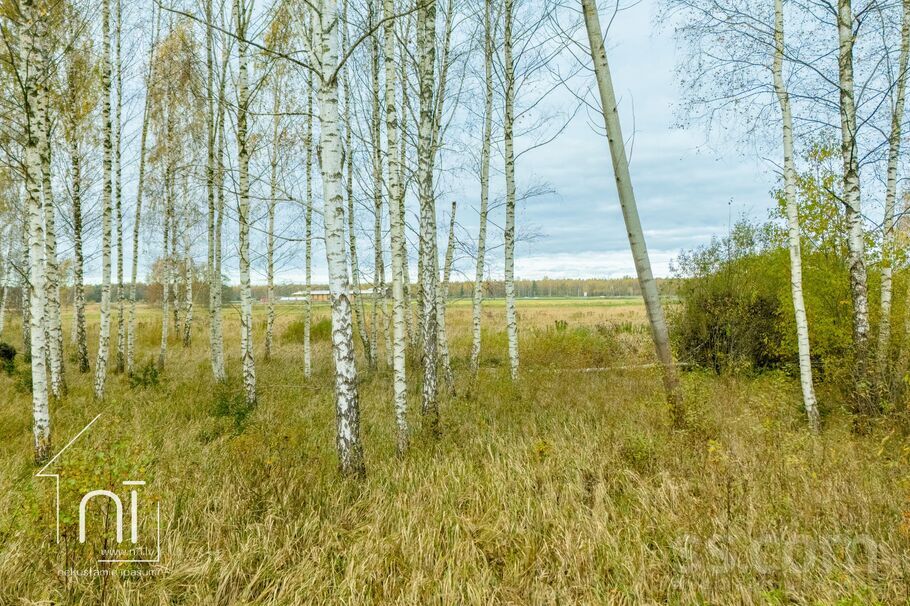 Čiekuri, Jaunolaine, Rīgas rajons, Olaines pag. — zeme