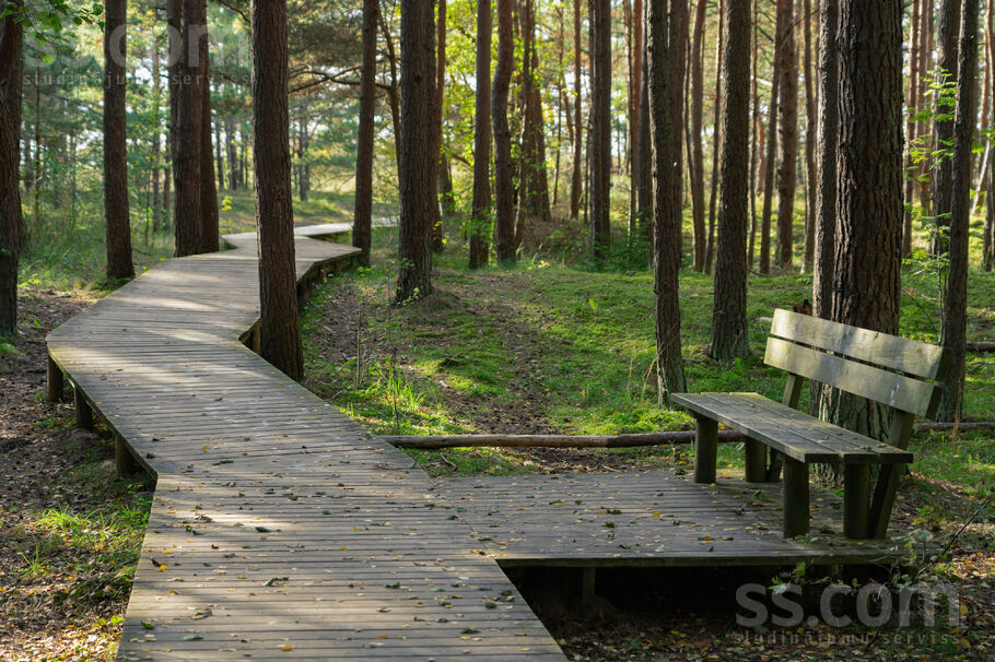 Jaunsaules 11, Rīgas rajons, Saulkrasti — zeme