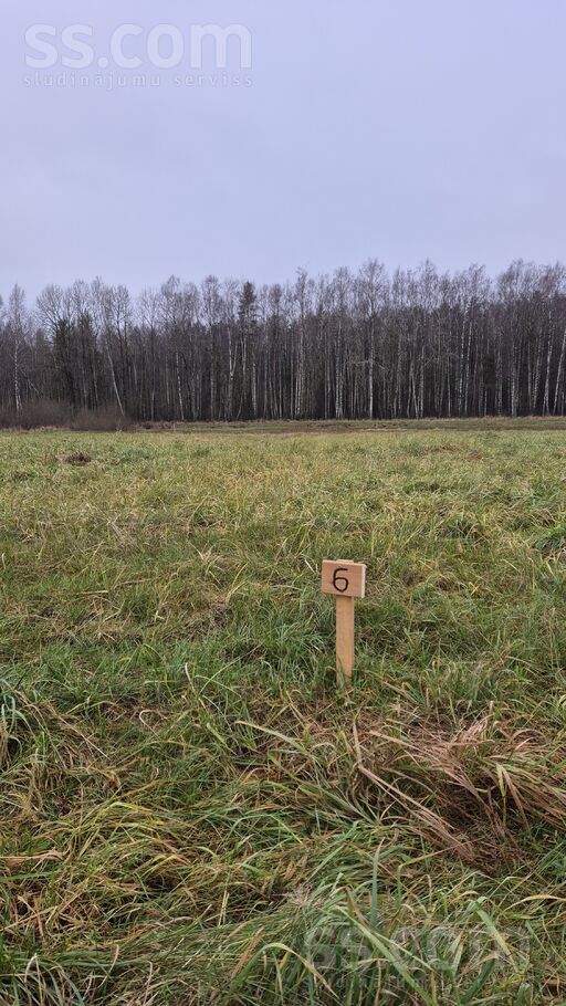 Mazā Meža 6, Rīgas rajons, Salaspils — zeme
