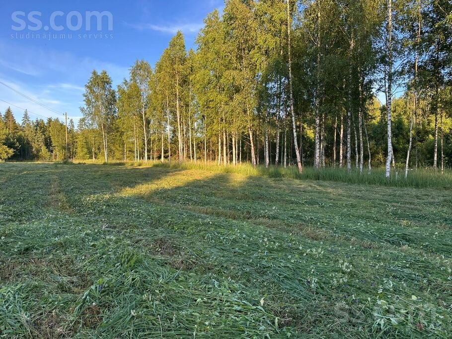 Alksnaji, Alksnāji, Talsi un raj., Mērsraga pag. — zeme