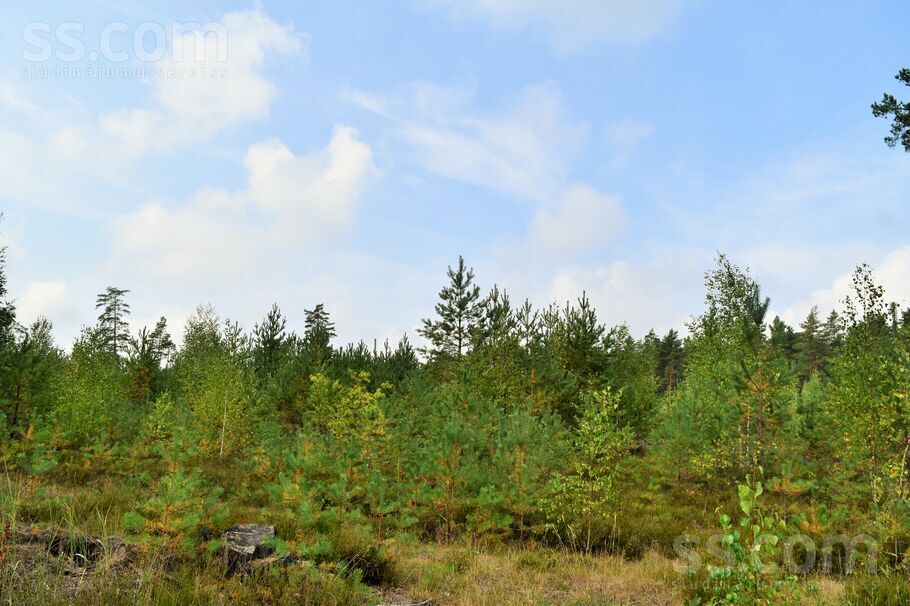 Kociņi, Kadaga, Rīgas rajons, Ādažu nov. — zeme