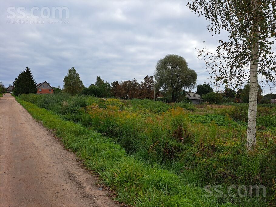 Zvaigžņu iela 16, Limbaži un raj., Limbaži — zeme