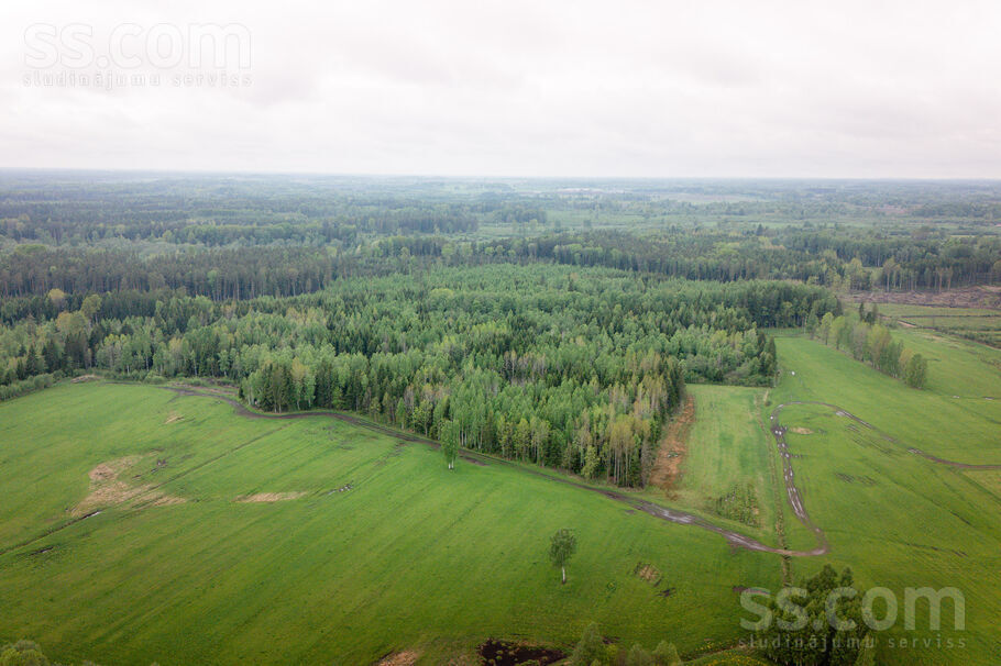 Jaunbebri, Aizkraukle un raj., Bebru pag. — vienseta