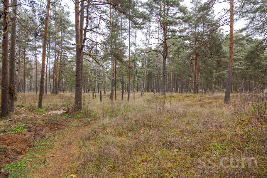 Vecāķu pr., Rīga — zeme