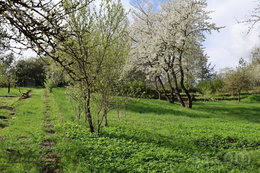 Lauktehnika 51 51, Lauktehnika, Jēkabpils un raj., Kūku pag. — maja