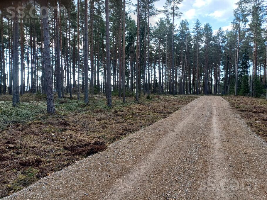 Mežmalas iela, Engure, Tukums un raj., Engures pag. — zeme
