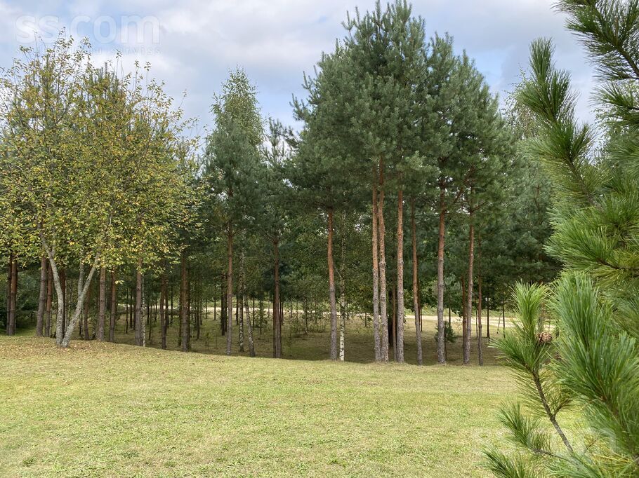 Stūriņi, Ķekava, Rīgas rajons, Ķekavas pag. — zeme