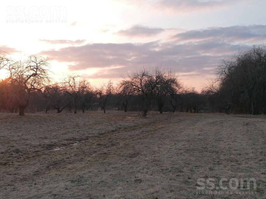 Randene, Randene, Daugavpils un raj., Kalkūnes pag. — zeme