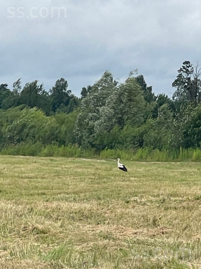 Mazkipisi, Ciemupe, Ogre un raj., Ogresgala pag. — zeme