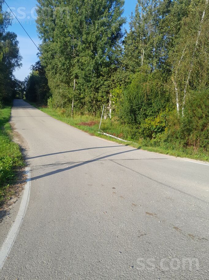 Dižcirtas 1, Rīgas rajons, Baldone — zeme