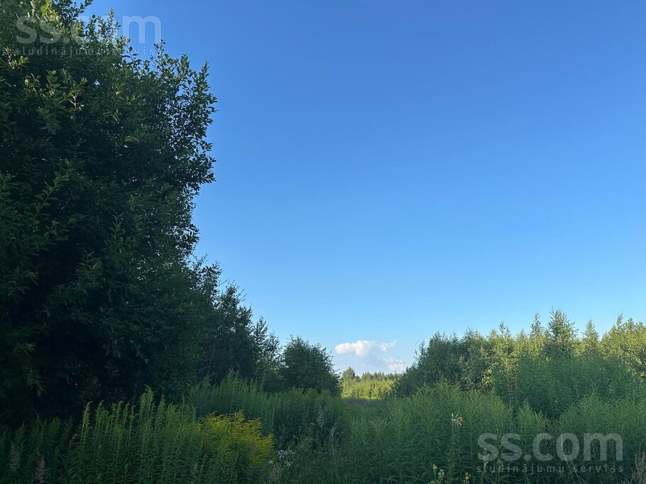 Svīķu iela 1, Pārolaine, Rīgas rajons, Olaines pag. — zeme