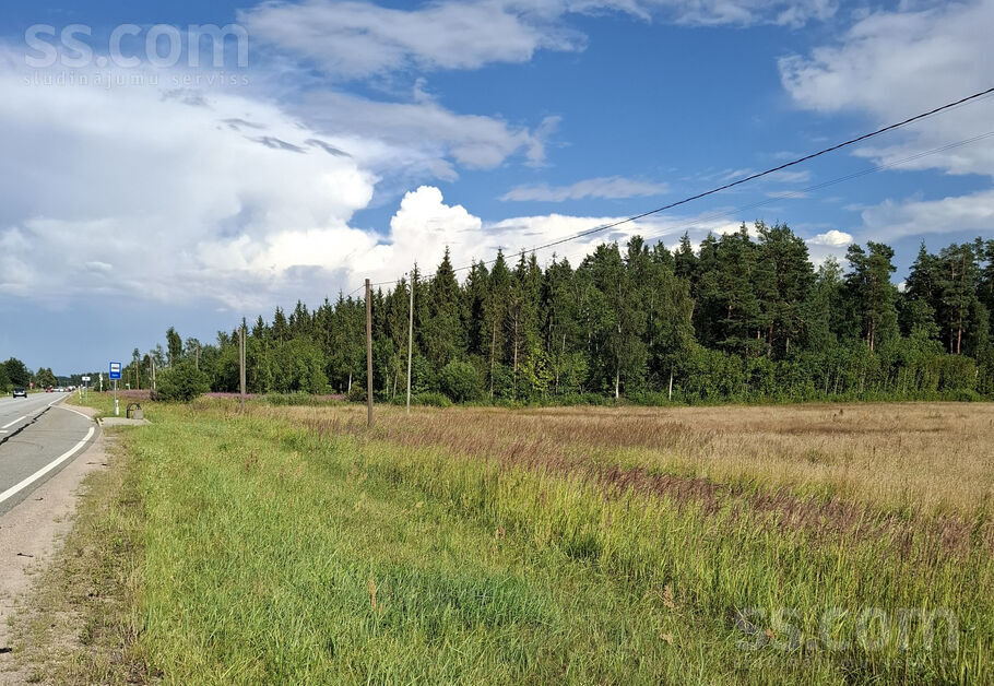 Baltegle, Trenči, Rīgas rajons, Babītes pag. — zeme