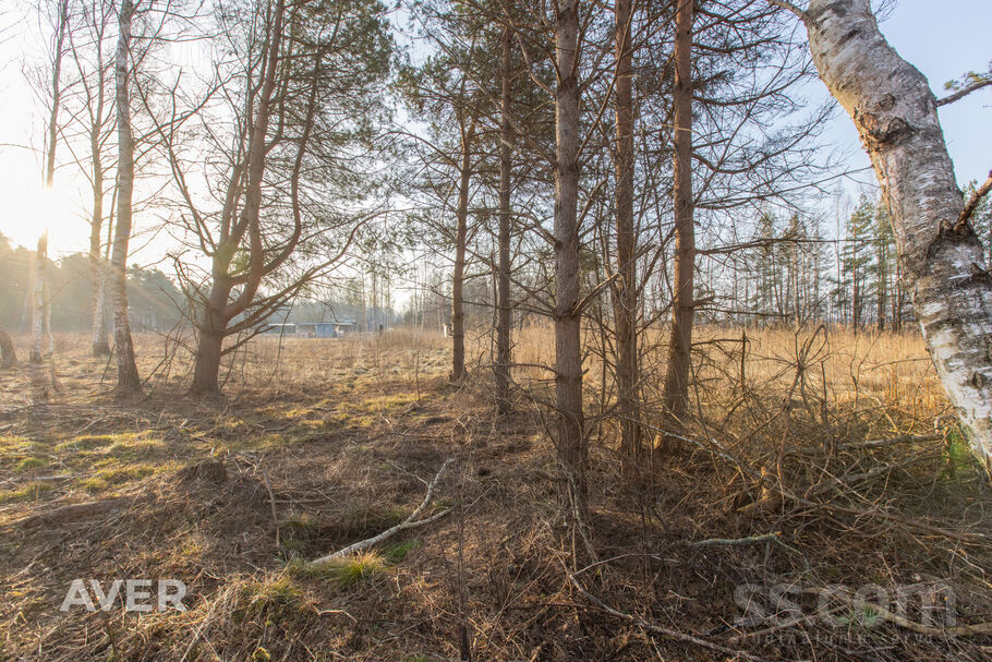 Mīļkalniņi 1, Ragaciems, Tukums un raj. — zeme