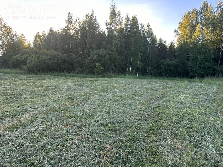 Alksnaji, Alksnāji, Talsi un raj., Mērsraga pag. — zeme