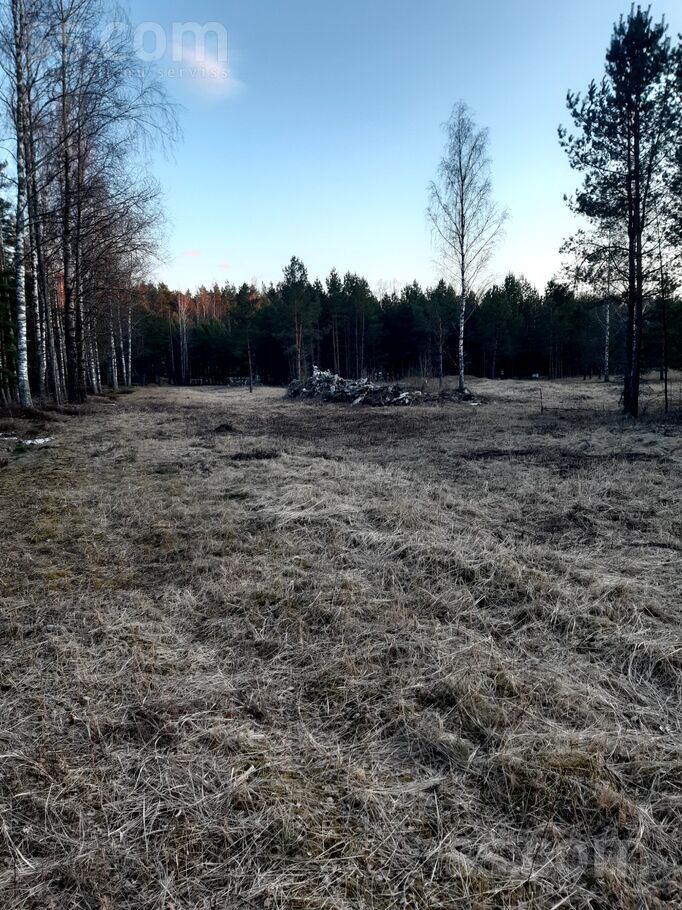 Priedaines iela, Mucenieki, Rīgas rajons, Ropažu nov. — zeme