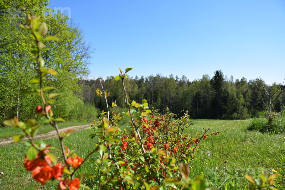 Talsi un raj., Abavas pag. — vienseta