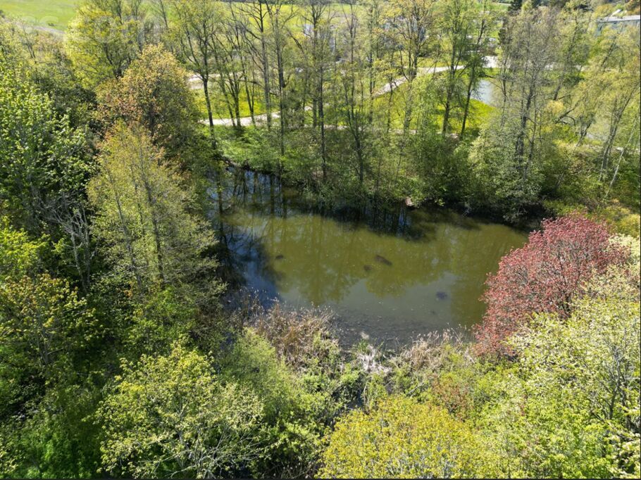 Dravnieki, Vecpils, Liepāja un raj., Vecpils pag. — zeme