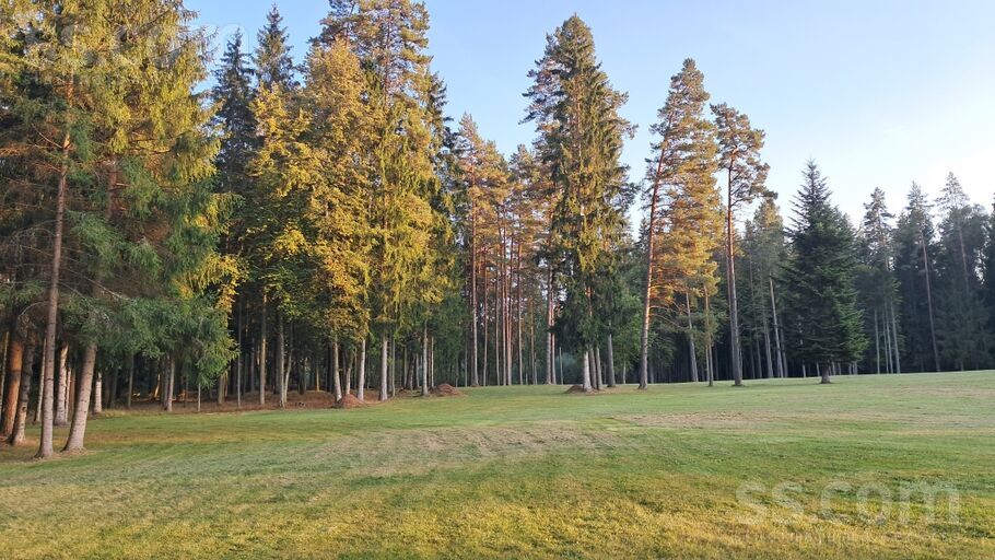 Daugmale, Rīgas rajons, Daugmales pag. — vienseta