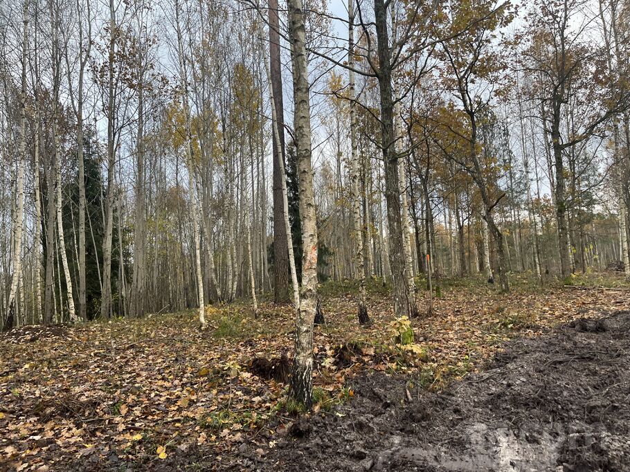 Mežakākauļi 5, Ķekava, Rīgas rajons, Ķekavas pag. — zeme