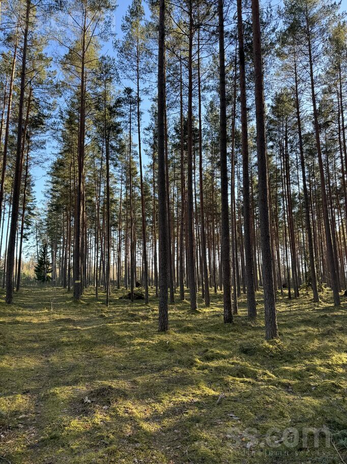 Lejas Dižmalas, Ādaži, Rīgas rajons, Ādažu nov. — zeme