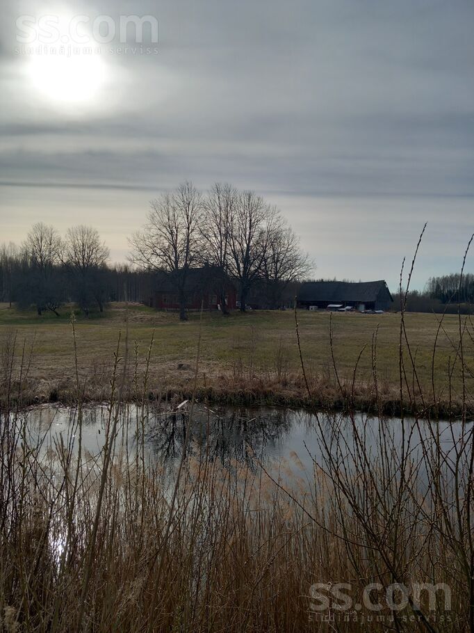 Tadenava, Jēkabpils un raj., Dunavas pag. — vienseta
