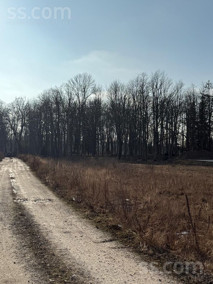 Muižas, Liepupe, Limbaži un raj., Liepupes pag. — zeme