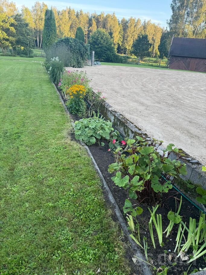 Priežu iela 16, Rīgas rajons, Baldone — maja