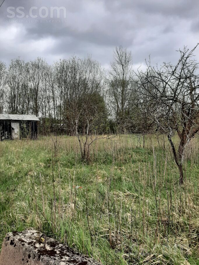 Daugava 272, Daugava, Daugavpils un raj., Kalkūnes pag. — zeme