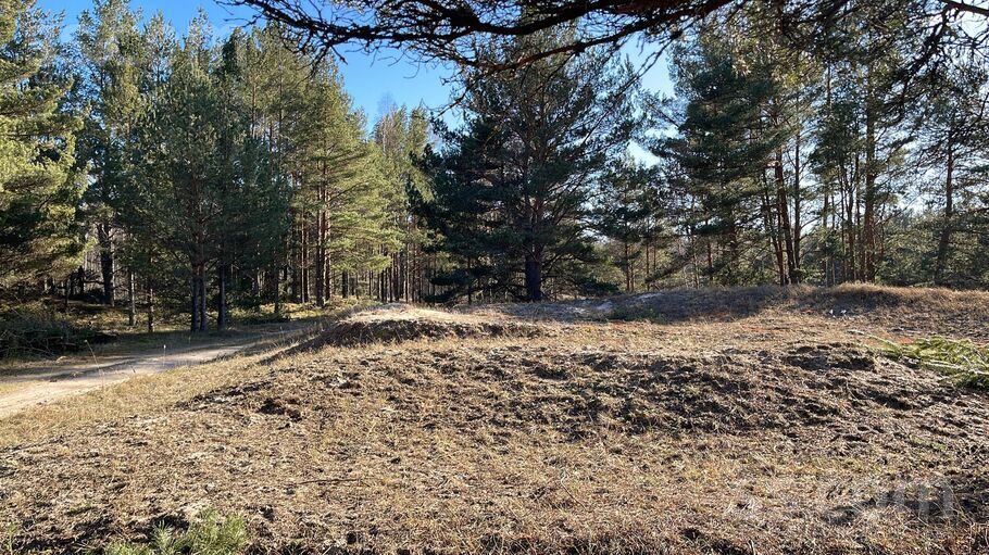 Piški Lōrm, Sīkrags, Talsi un raj., Kolkas pag. — zeme