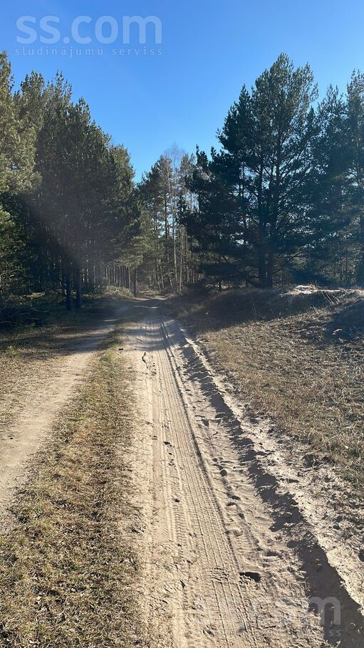 Piški Lōrm, Sīkrags, Talsi un raj., Kolkas pag. — zeme